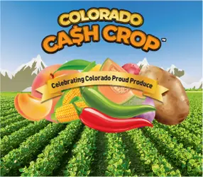 COLORADO CA$H CROP™ Colorado scratch game ticket