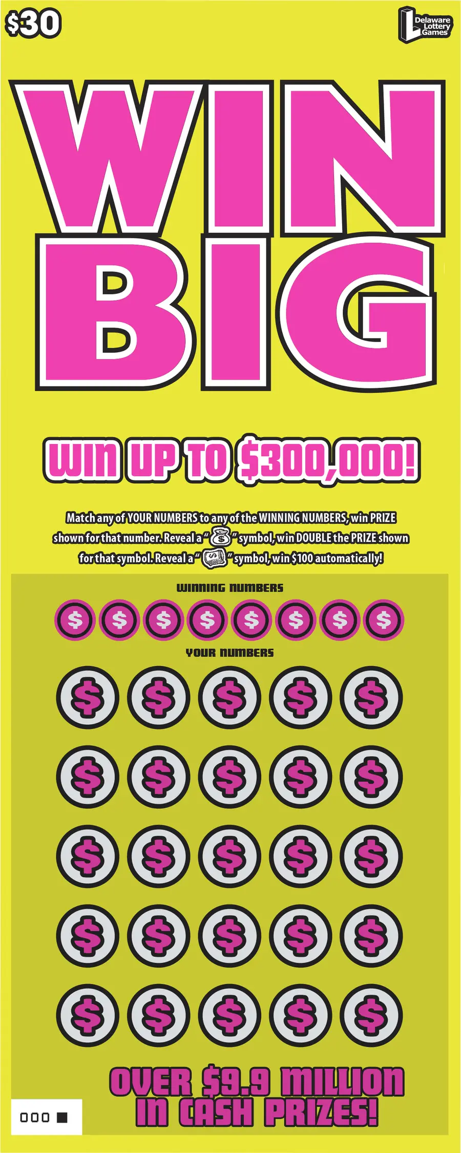 WIN BIG Delaware instant game ticket