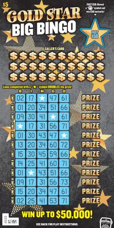 Gold Star Big Bingo Idaho scratch game ticket