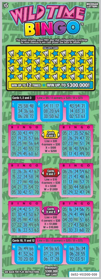 Wild Time Bingo Michigan scratch-off ticket