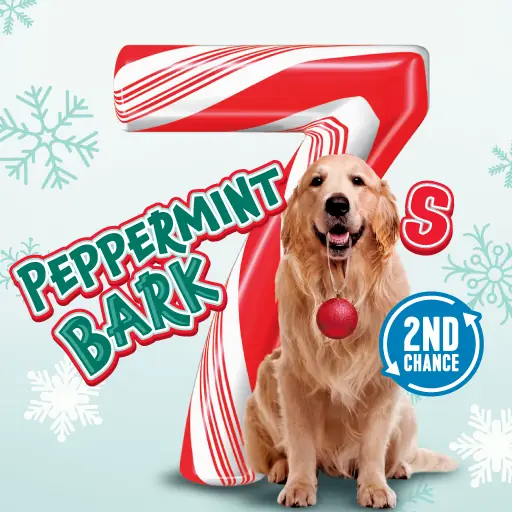 Peppermint Bark 7s Minnesota scratch game ticket