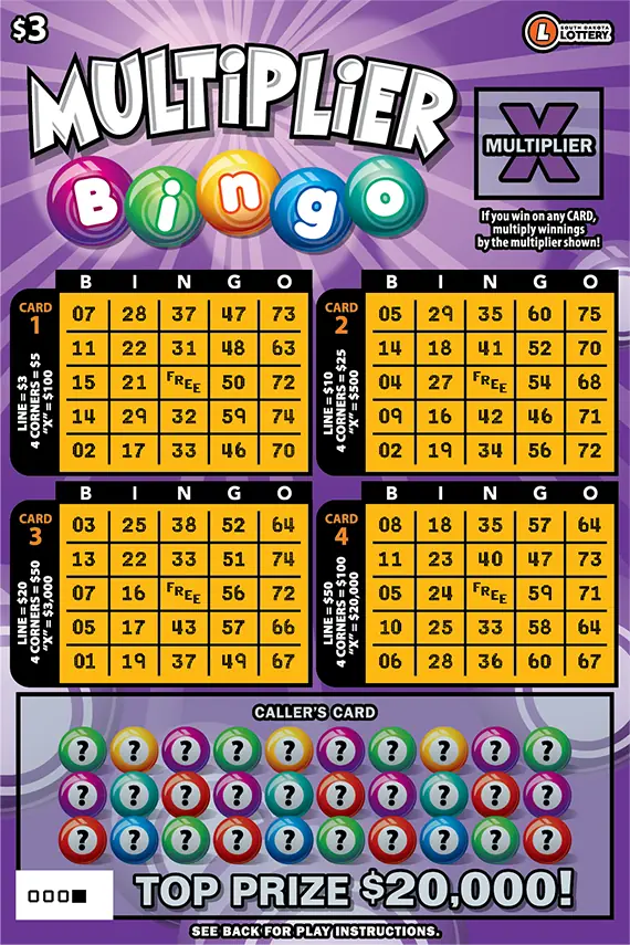 MULTIPLIER BINGO South Dakota scratch game ticket