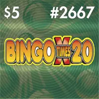 Bingo Times 20 Texas scratch-off ticket